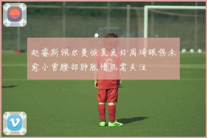 赵睿斯佩尔曼恢复良好周琦眼伤未愈小曾腰部肿胀情况需关注
